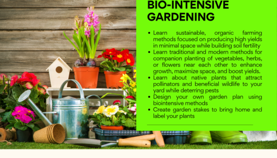 ESSENTIAL TIPS FOR ORGANIC GARDENING